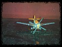 1:64 Matchbox   Stunt Plane 2007 Orange. Uploaded by Asgard